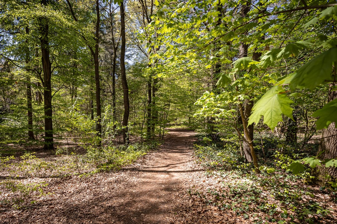 Foto 43 van Klaverberg 2