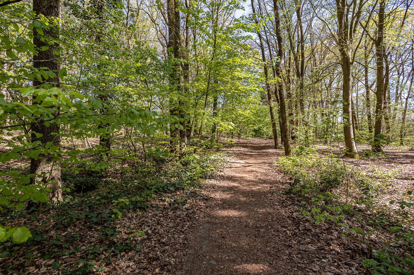 Foto 44 van Klaverberg 2