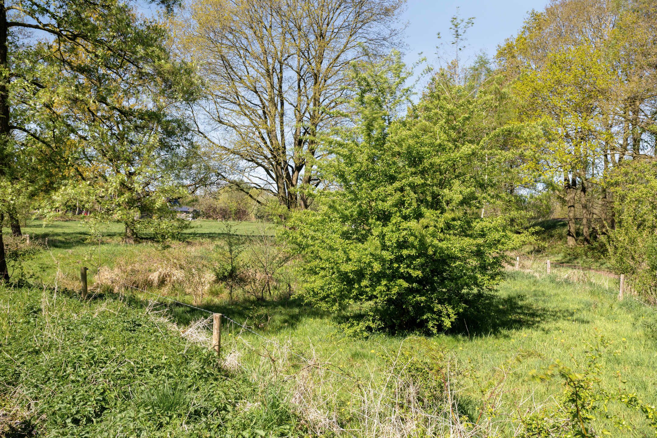 Foto 54 van Vespuccistraat 14