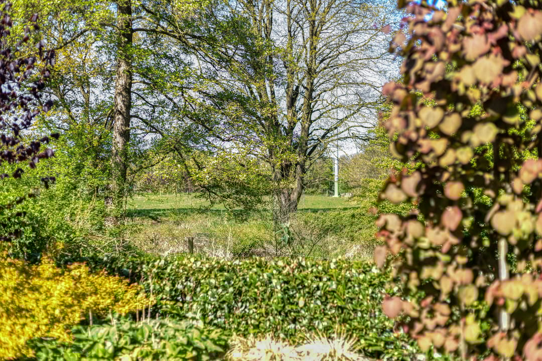 Foto 47 van Vespuccistraat 14