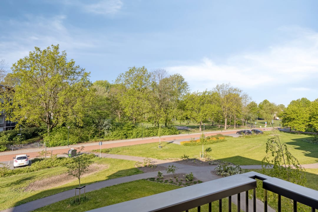 Foto 16 van Jonkheer 35