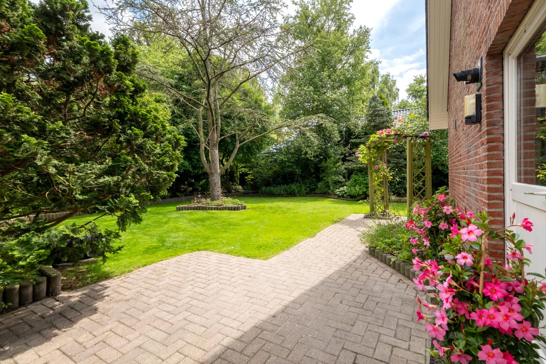 Foto 53 van de Koets 3