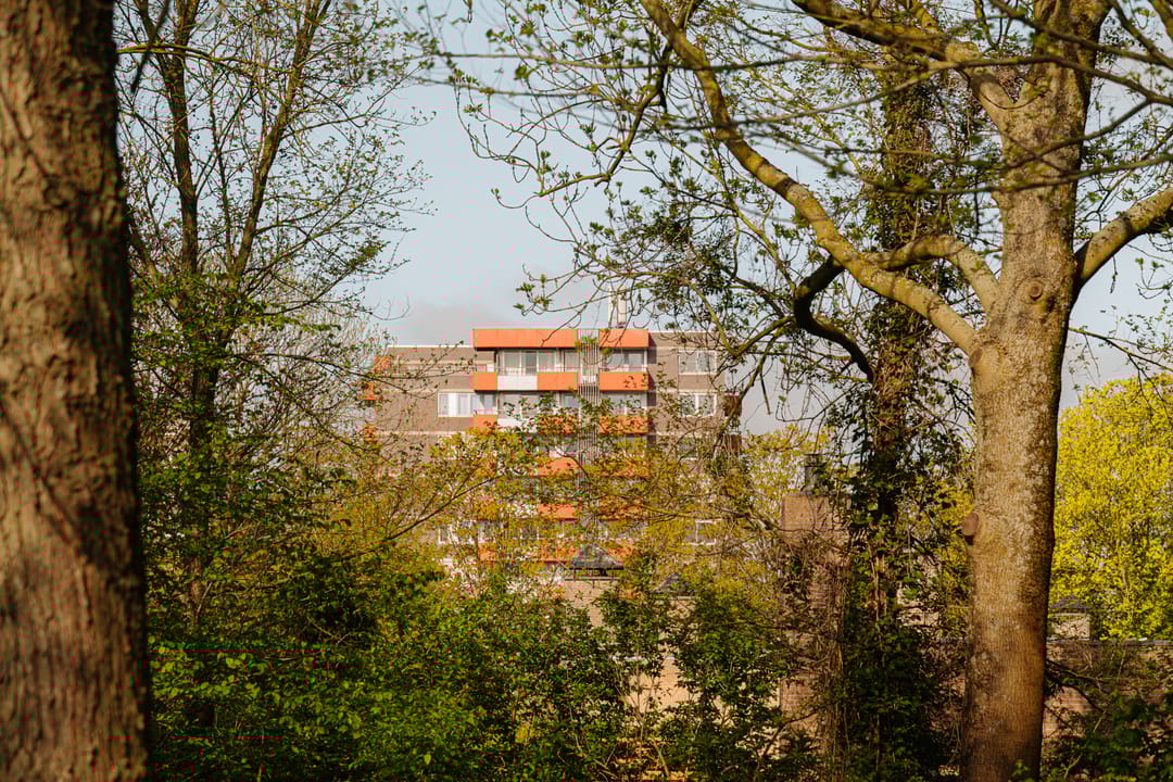 Photo 28 of Zilverschoon 41