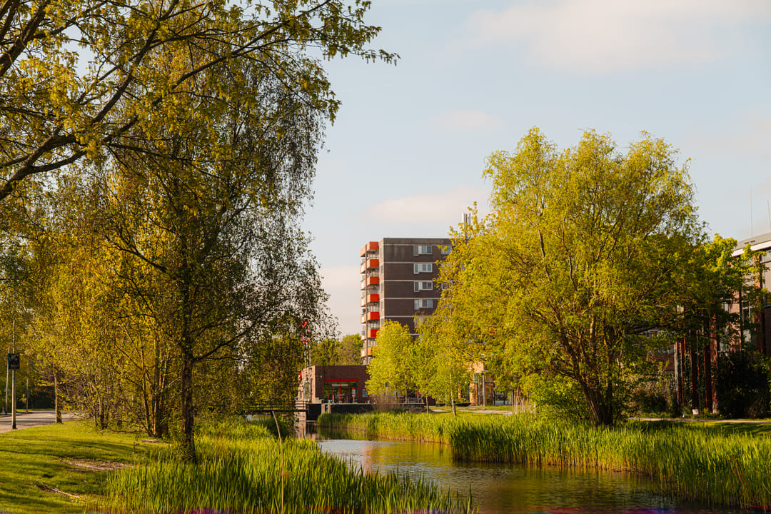 Photo 2 of Zilverschoon 41