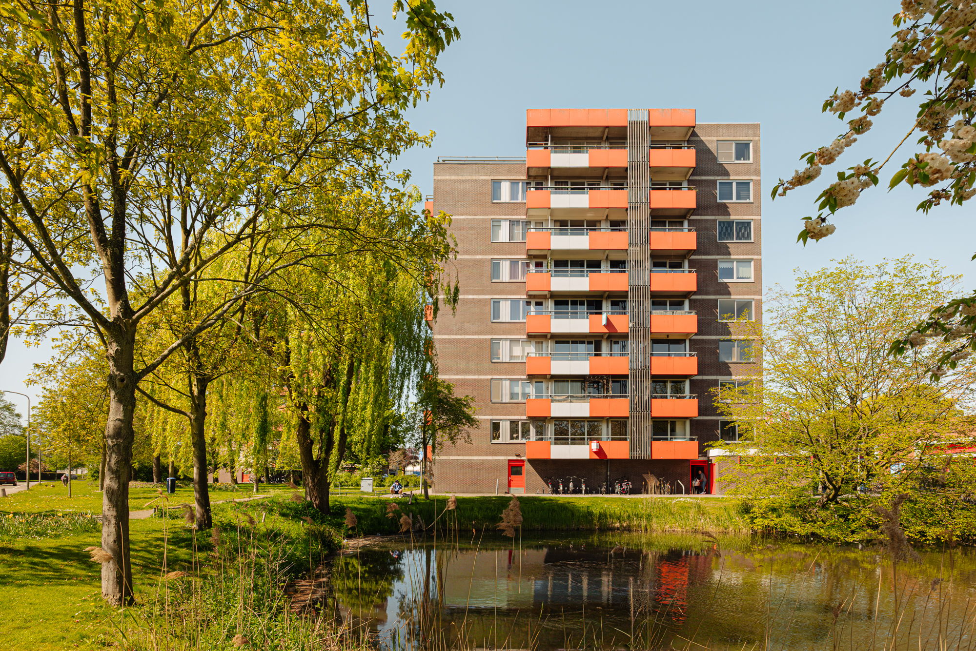 Photo 3 of Zilverschoon 41