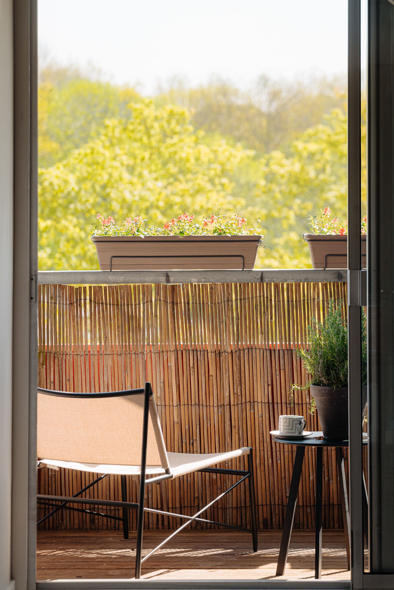 Photo 6 of Zilverschoon 41