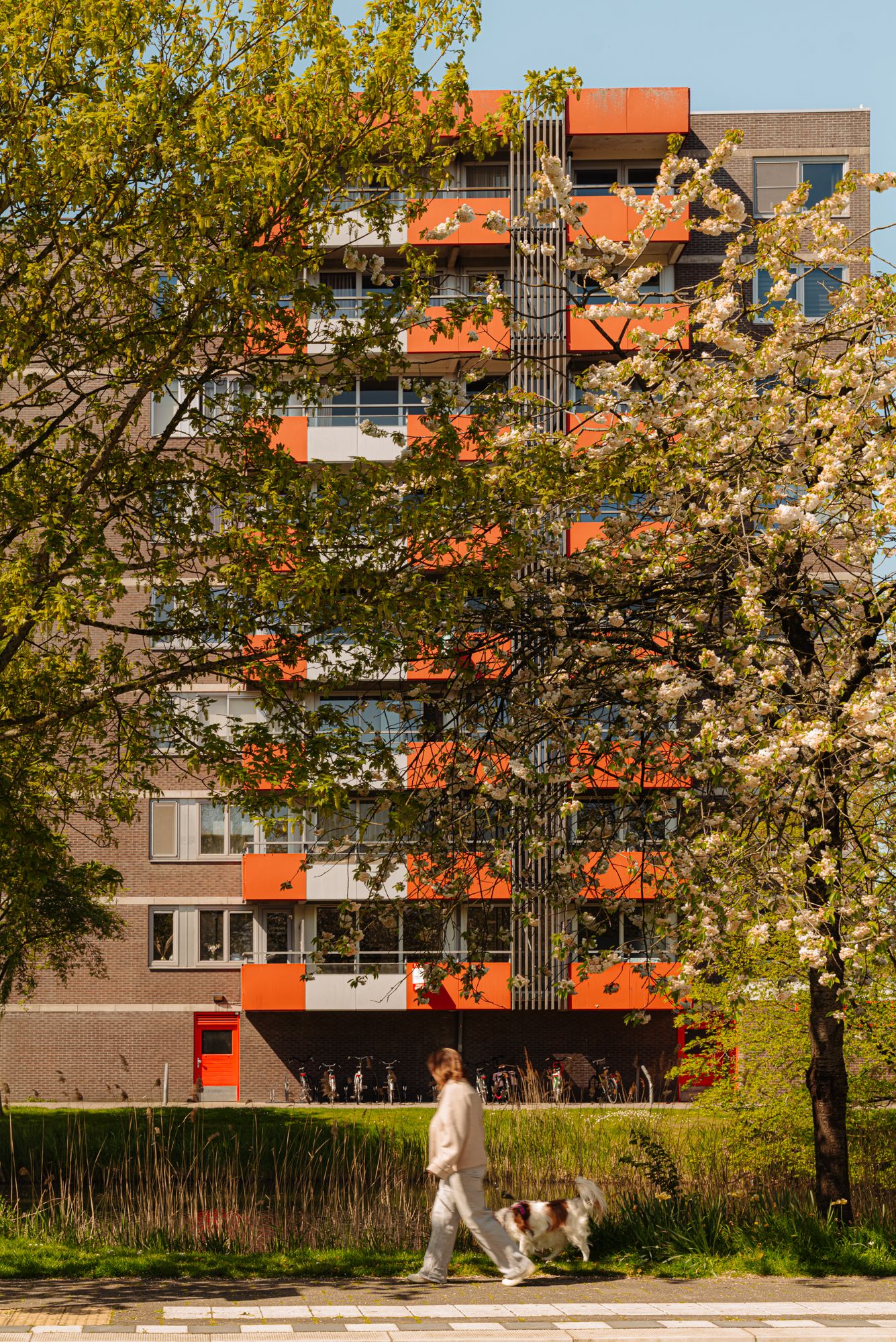 Photo 27 of Zilverschoon 41