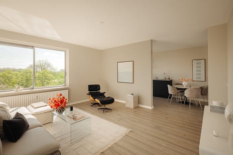 Zilverschoon thumbnail