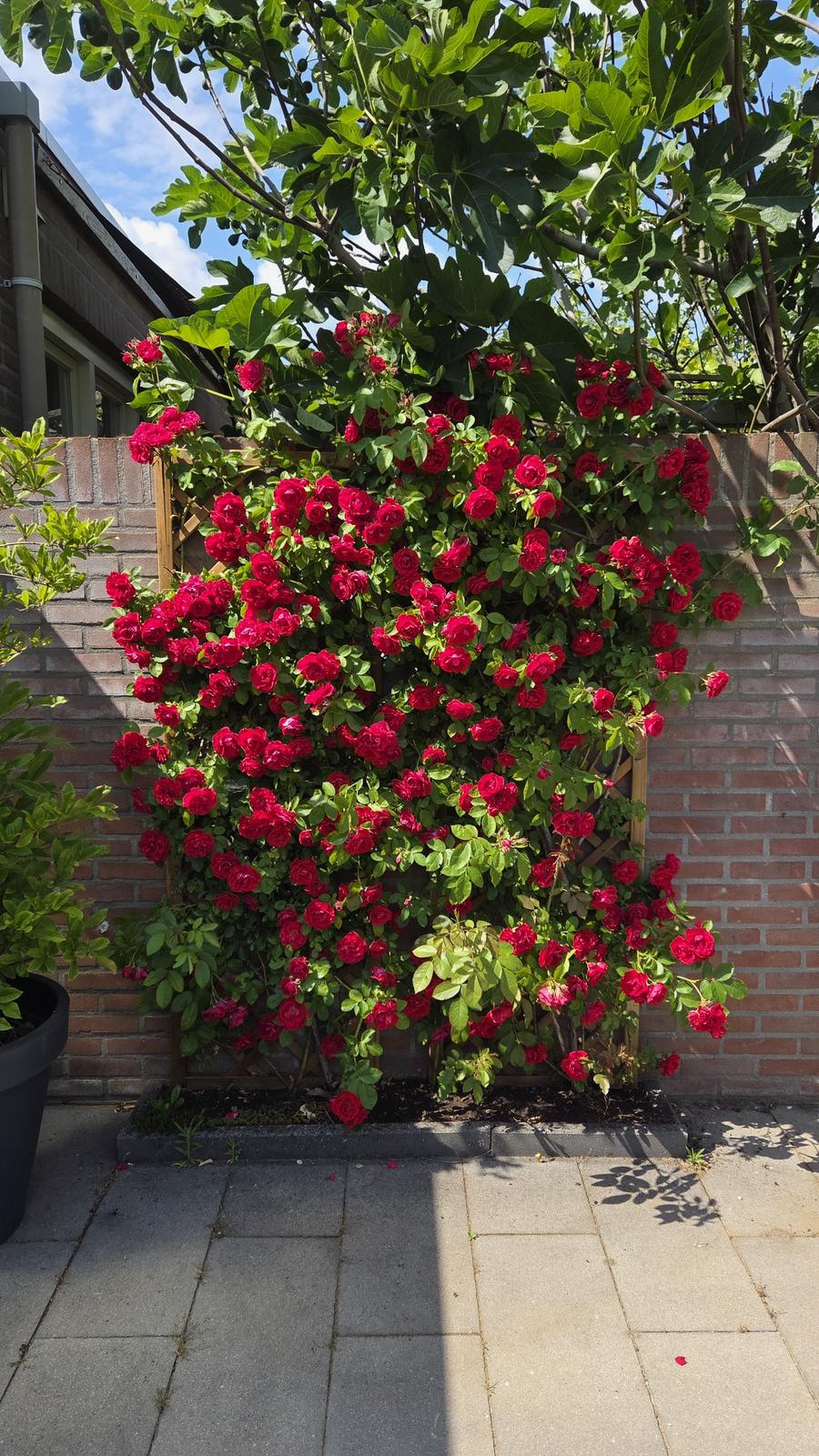 Foto 32 van Minister van Houtenstraat 4