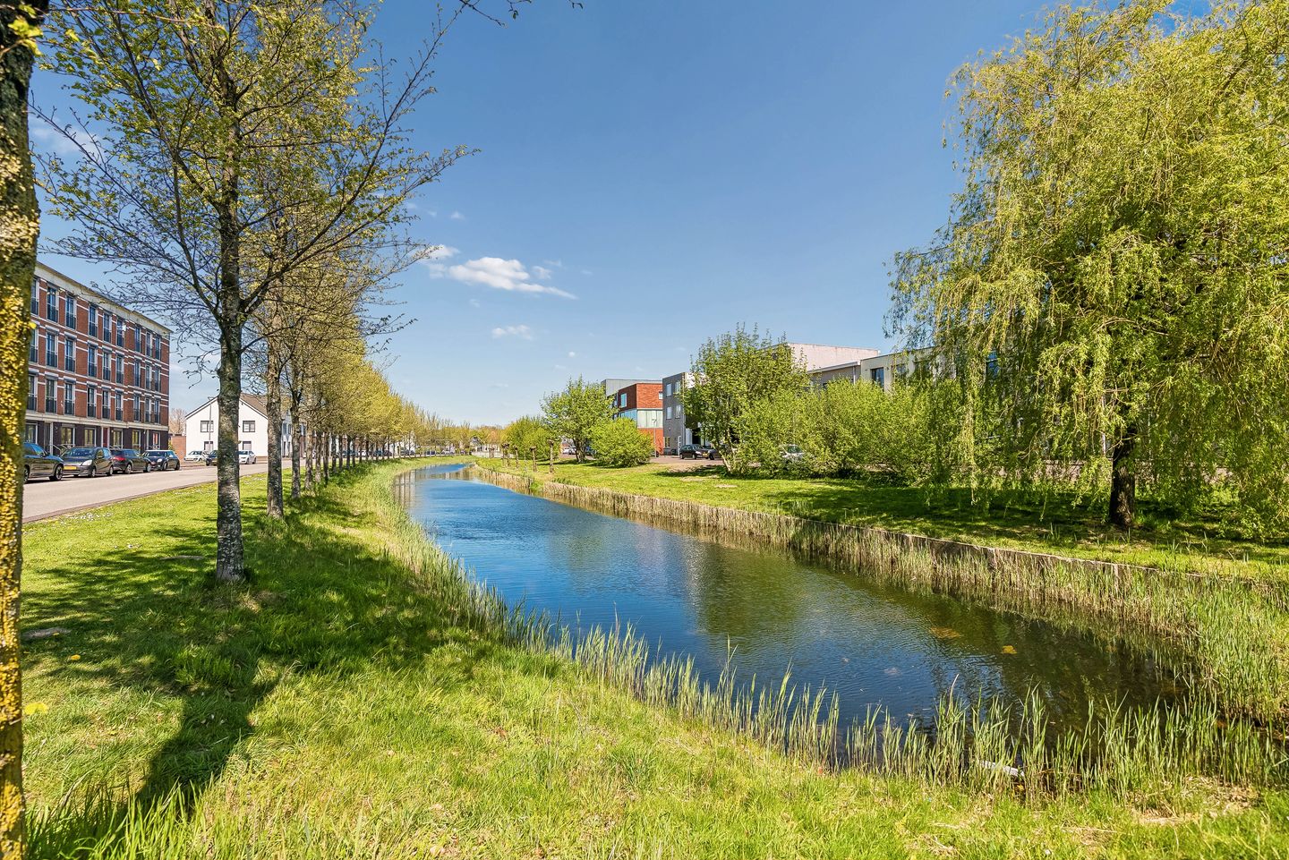 Photo 34 of Artemissingel 221