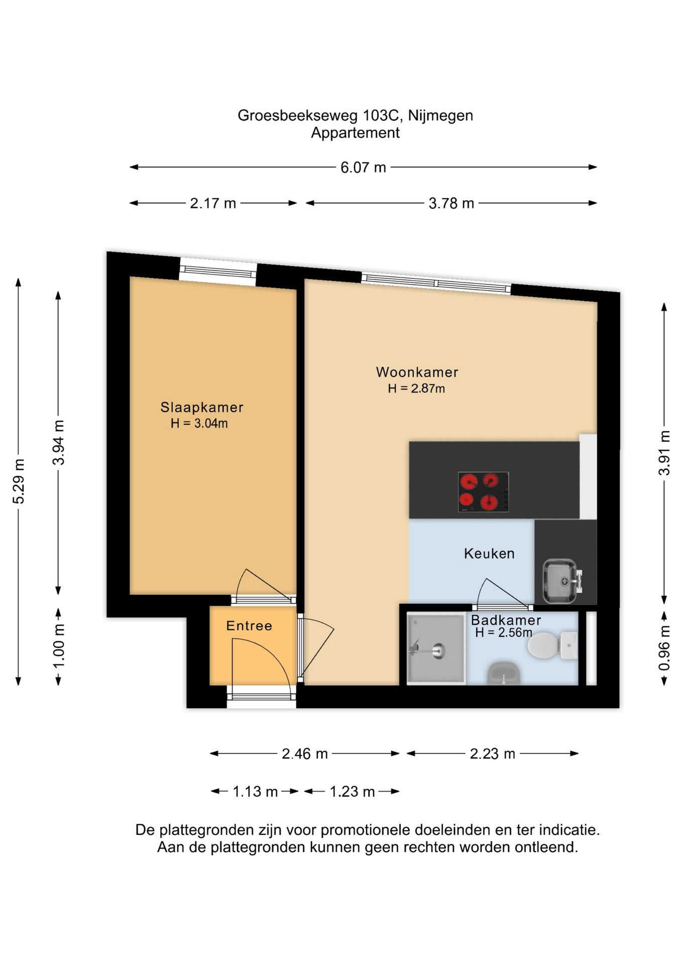 Foto 20 van Groesbeekseweg 103-C