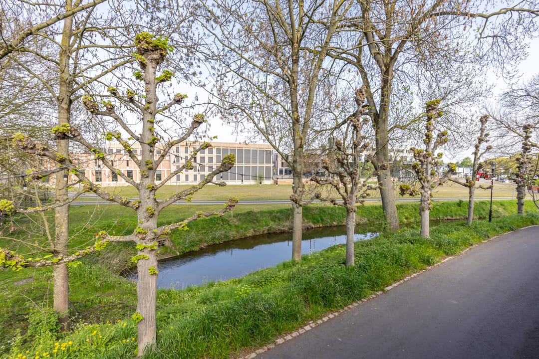 Foto 37 van Begijnenhofstraat 6