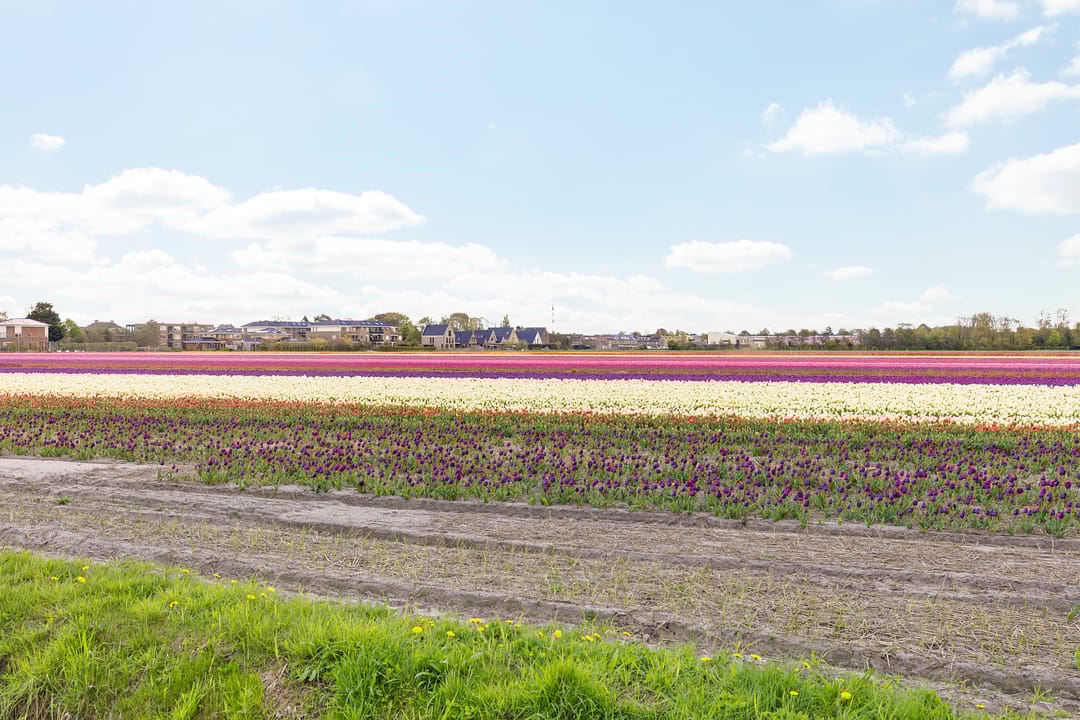 Foto 31 van 2e Loosterweg 62