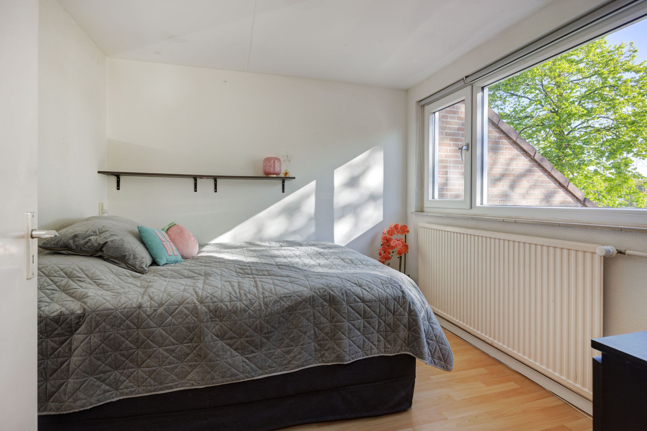 Foto 21 van Baronie 45