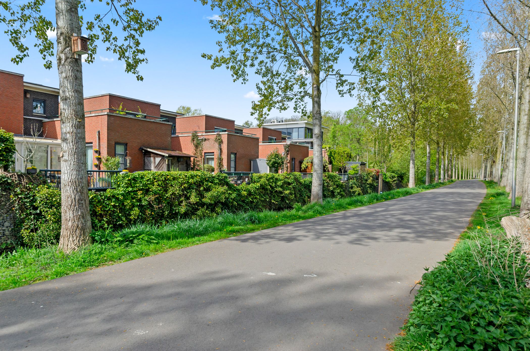 Photo 48 of Daalseweghof 126