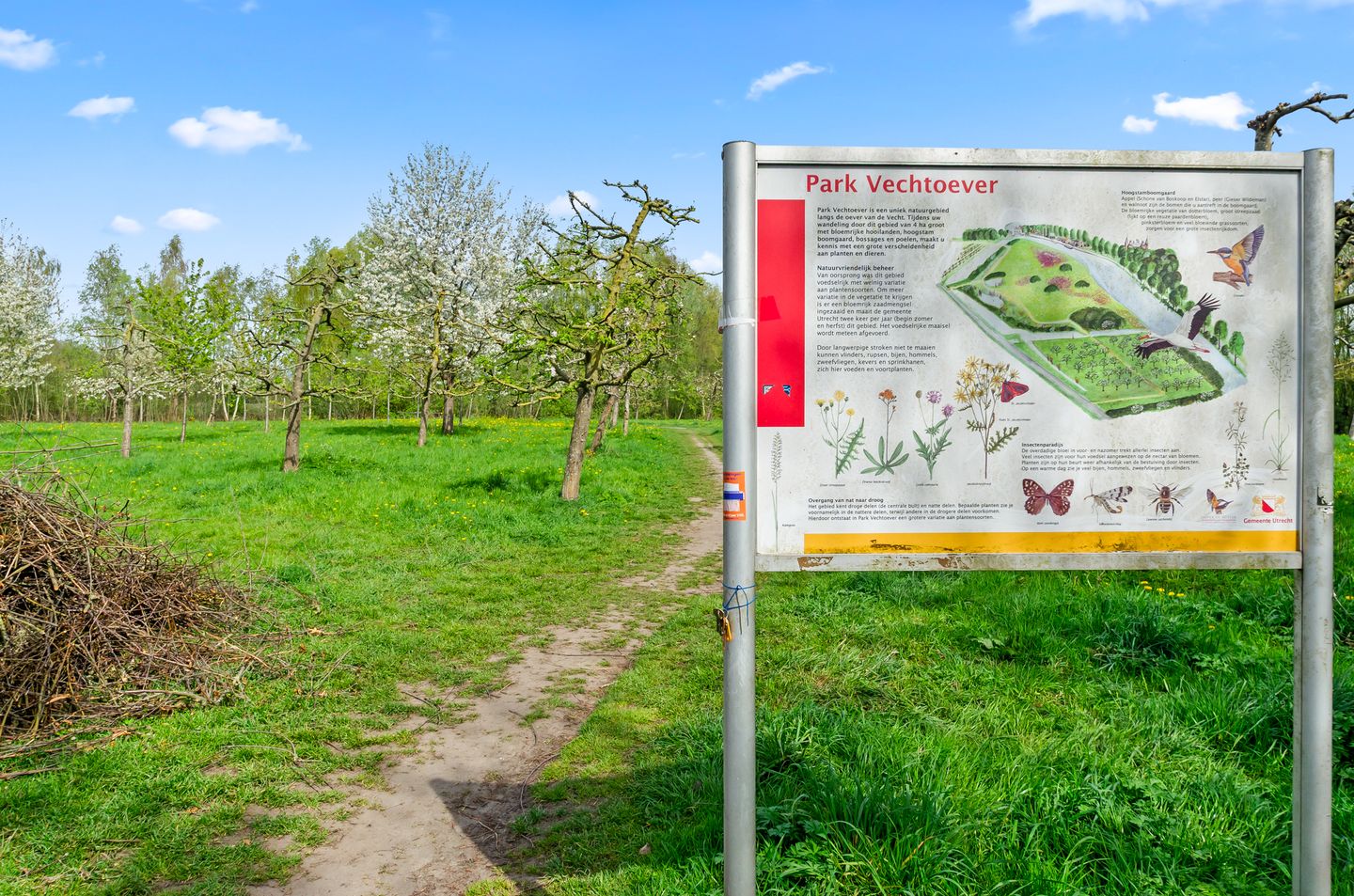 Photo 50 of Daalseweghof 126