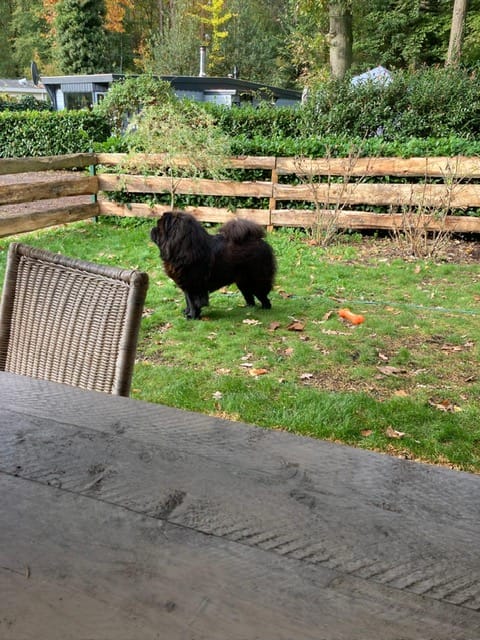 Foto 20 van Klein Paradijs 14-27