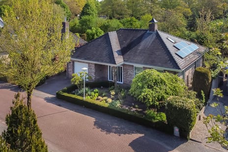 Boomheuvel thumbnail