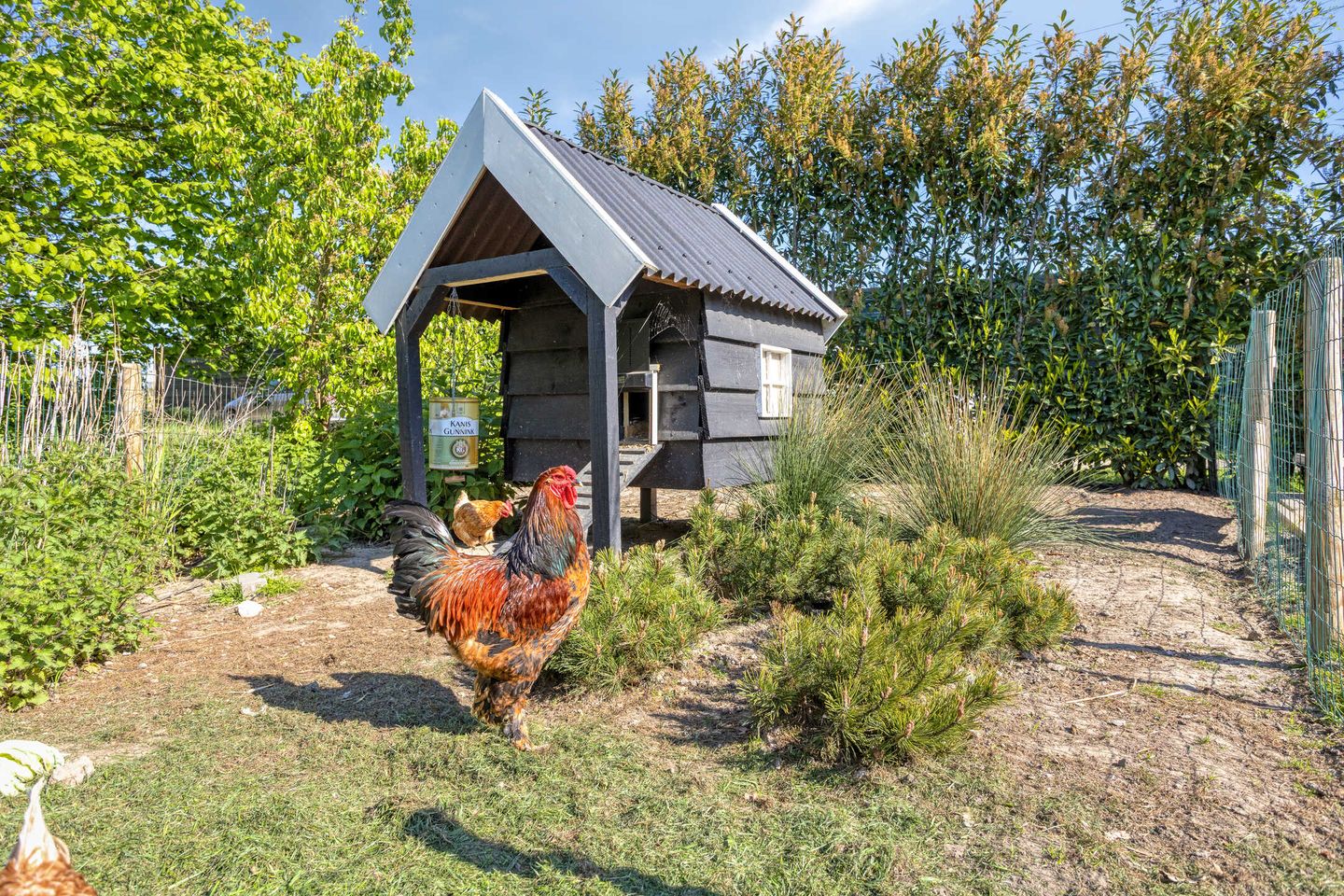 Photo 40 of Oostmolenweg 10