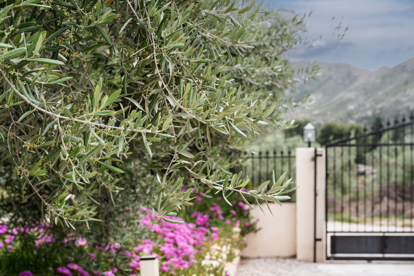 Renovated Villa with Pool and Mountain Views in Calasparra — 19