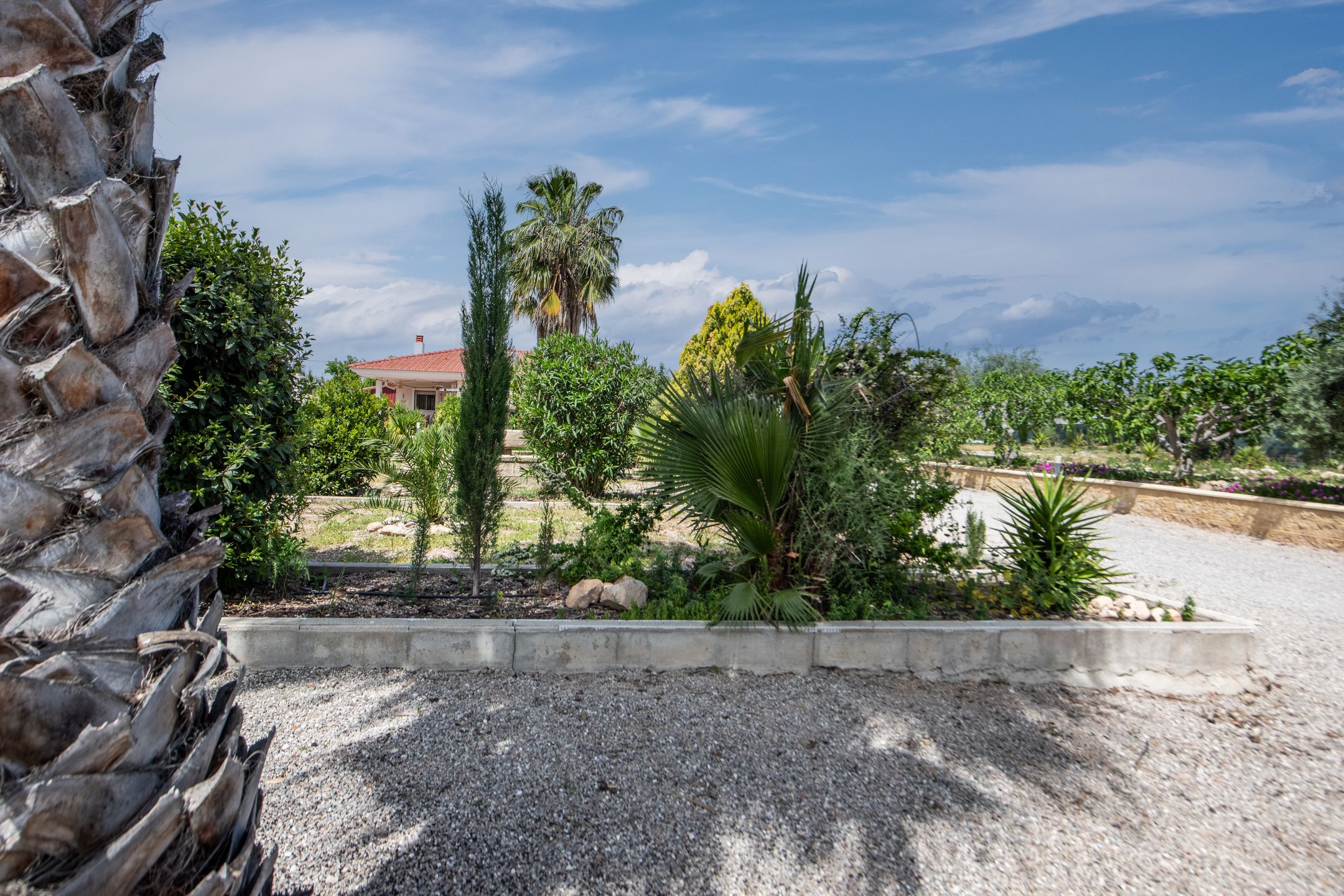 Renovated Villa with Pool and Mountain Views in Calasparra — 21