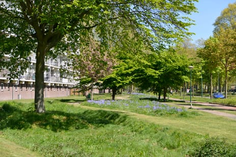 Haverweerd 84 secondary image