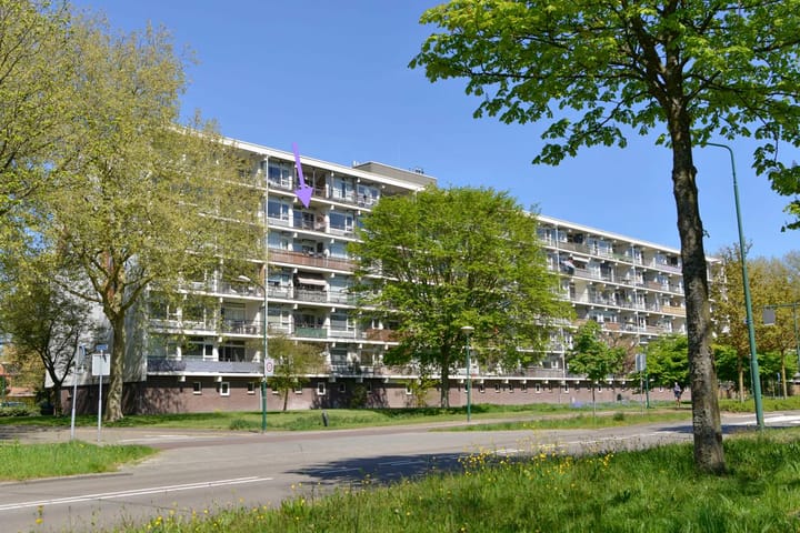 Haverweerd 84