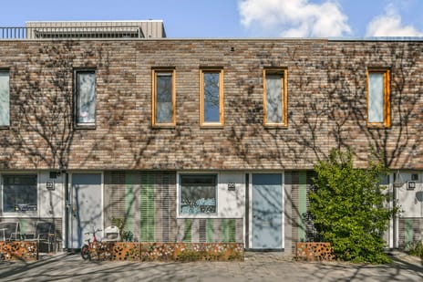 Kerstomaatplantsoen thumbnail
