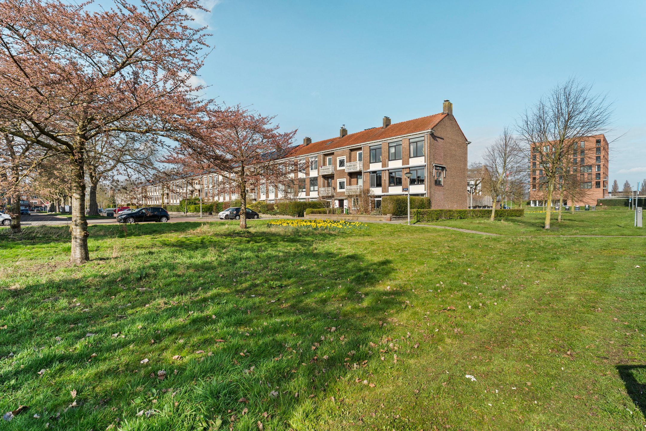 Photo 39 of Groene Weide 41