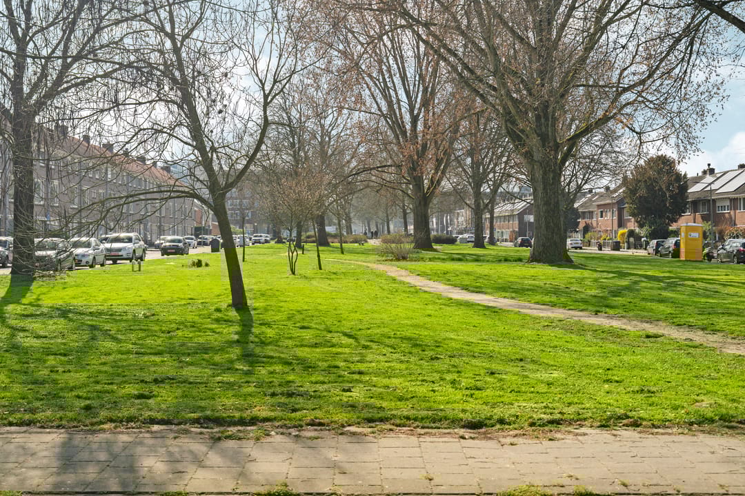 Photo 41 of Groene Weide 41