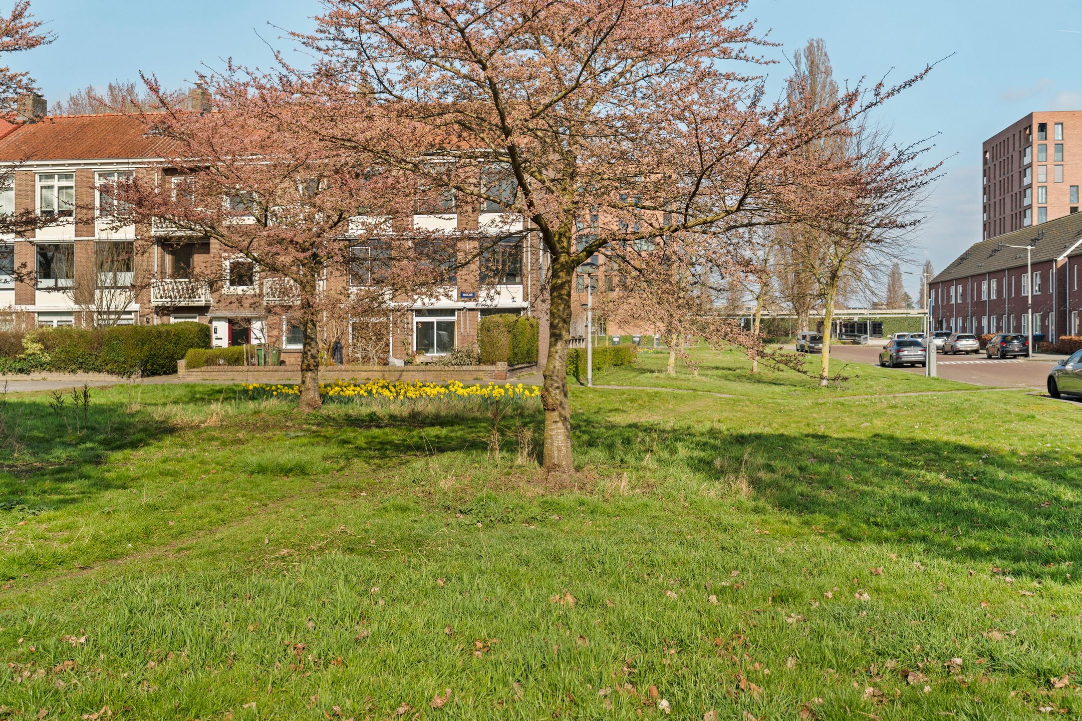 Photo 42 of Groene Weide 41