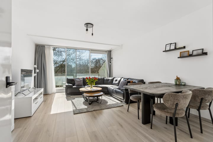 Foto 3 van Dillenburg 224