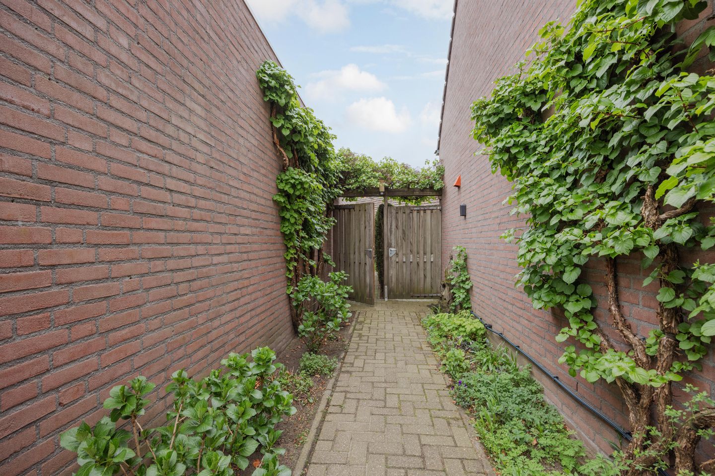 Photo 35 of Blauwververstraat 44