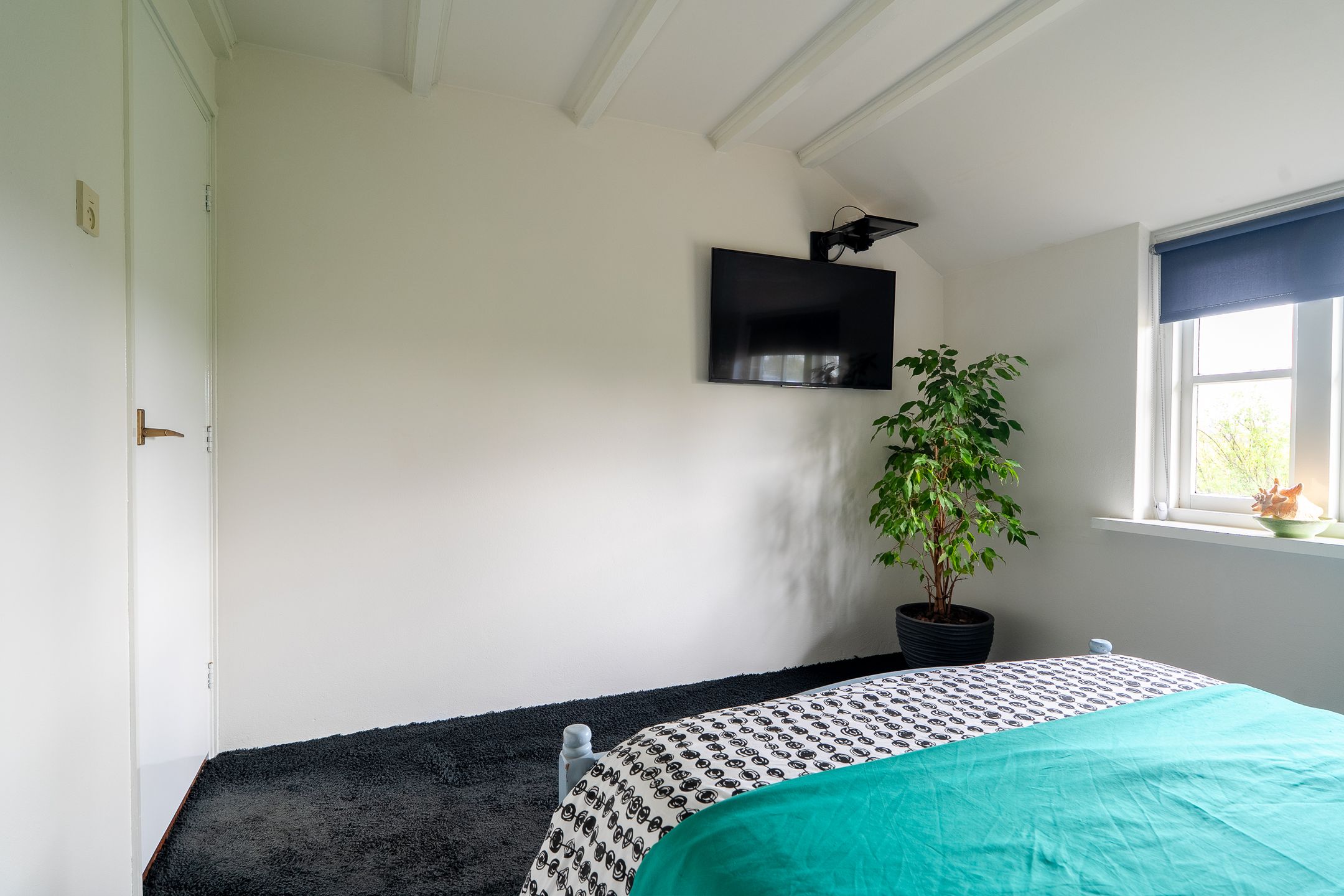 Photo 30 of Vrouwenlaan-achter 2