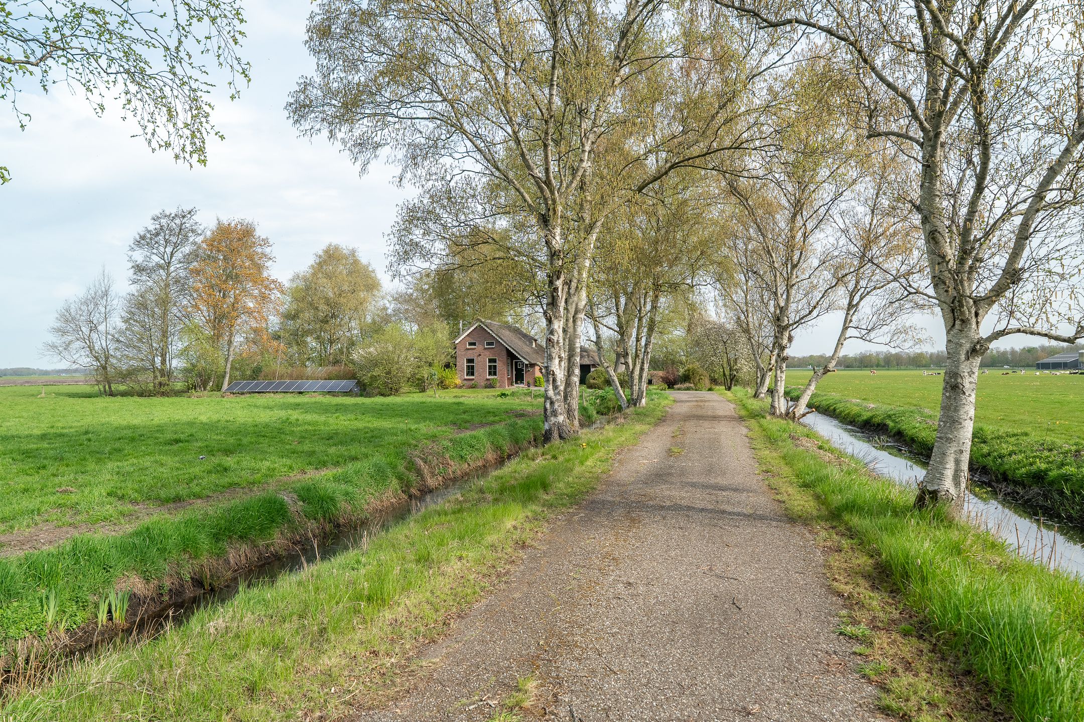 Photo 9 of Vrouwenlaan-achter 2
