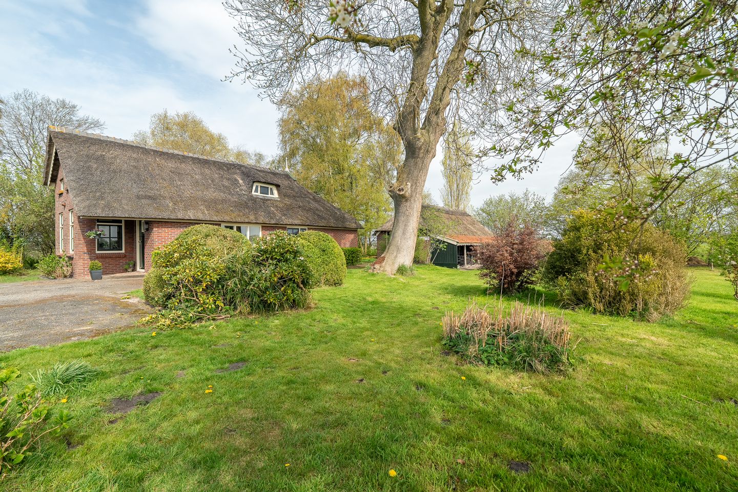 Photo 55 of Vrouwenlaan-achter 2