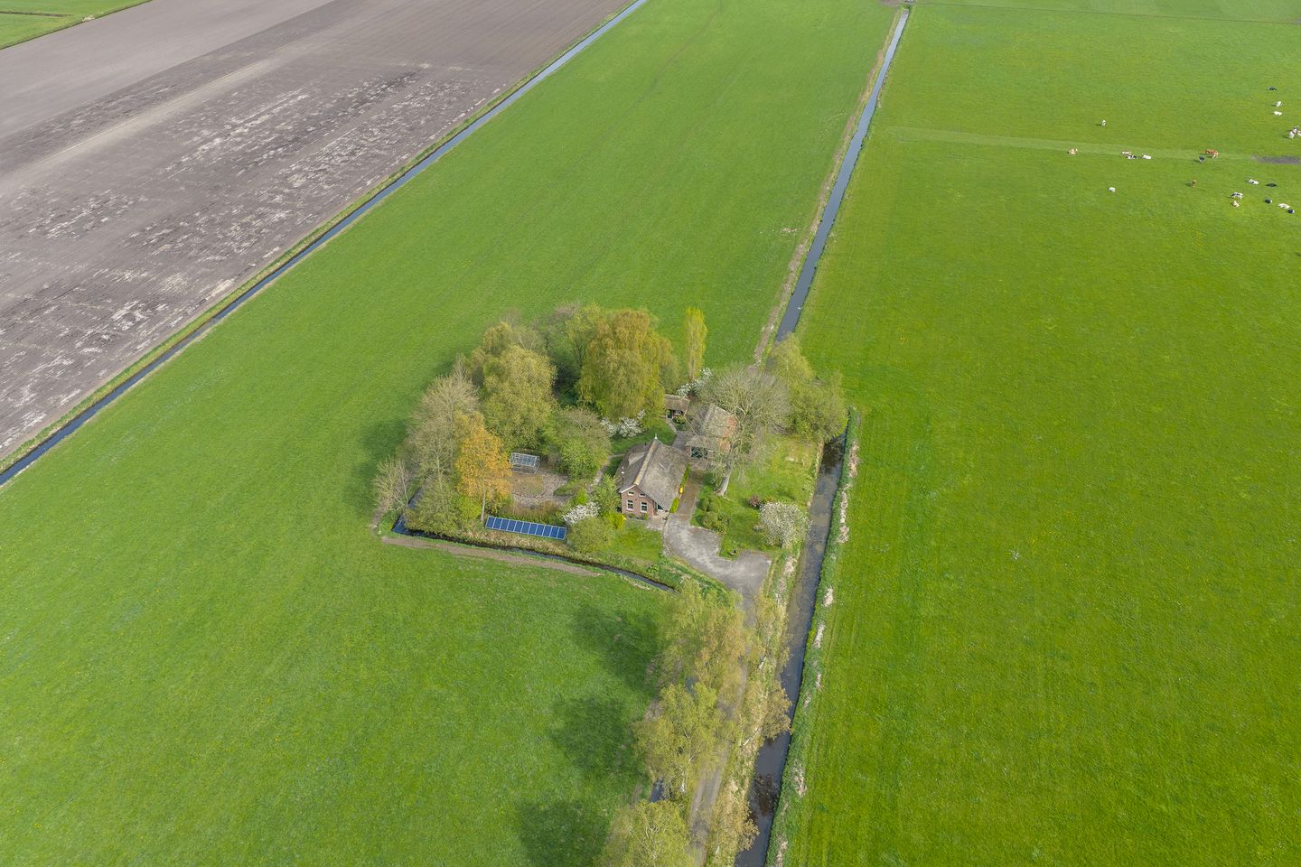 Photo 79 of Vrouwenlaan-achter 2