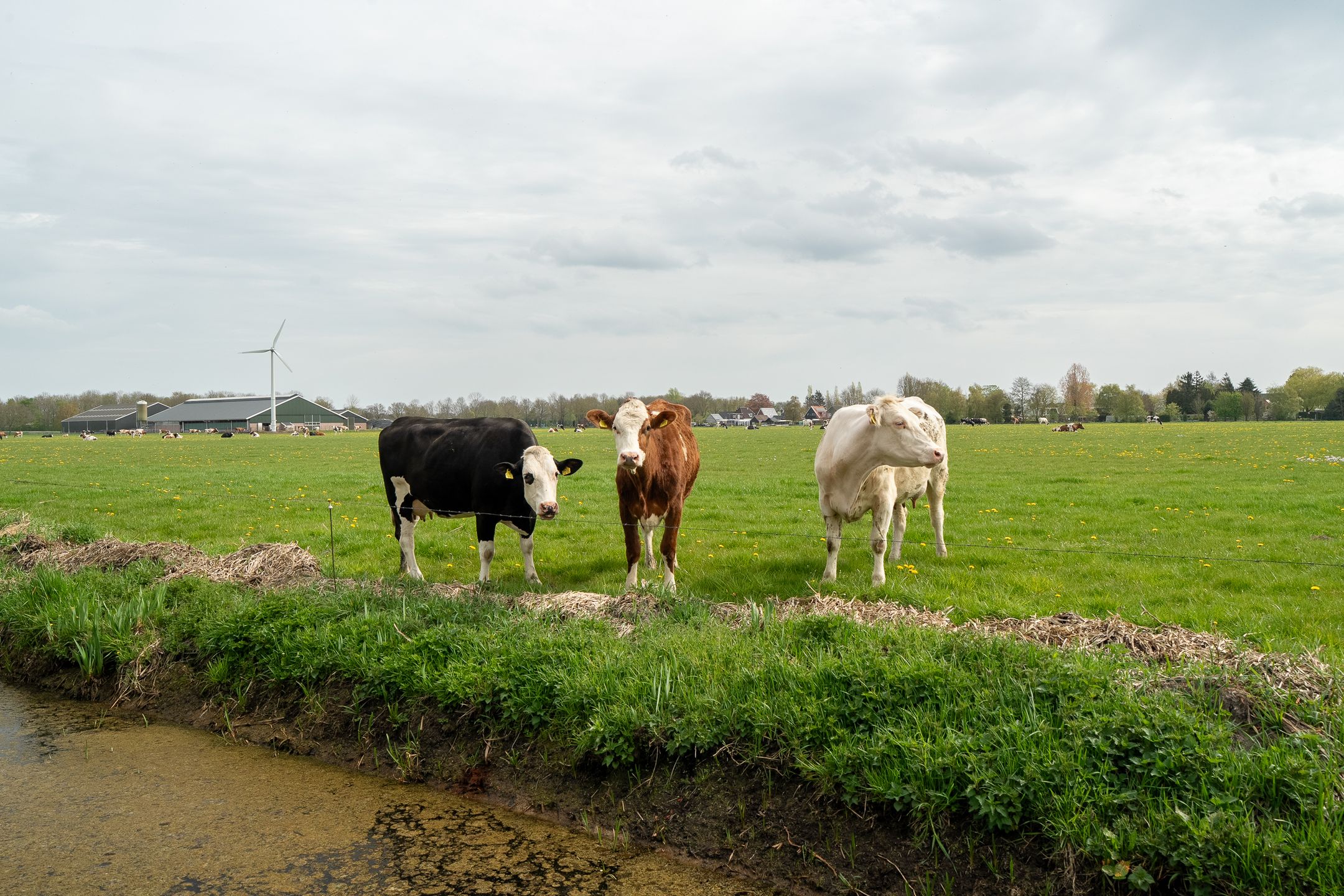 Photo 57 of Vrouwenlaan-achter 2