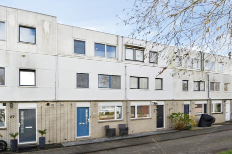 Malisingel thumbnail