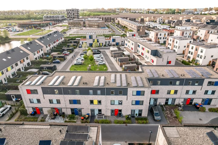 Gentiaan 9 main image