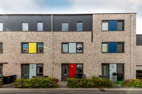 Gentiaan 9 secondary image