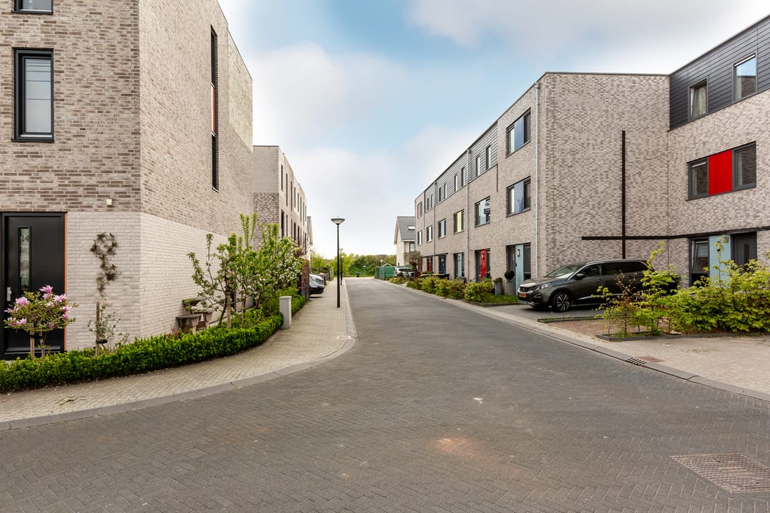 Photo 31 of Gentiaan 9