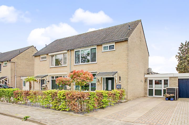 de Vosplantsoen 17 main image