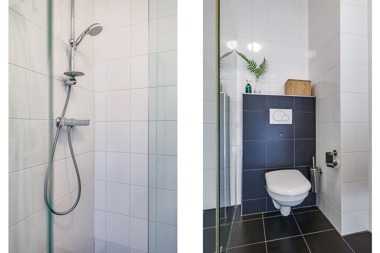 Photo 44 of Charley Bosveldhof 10