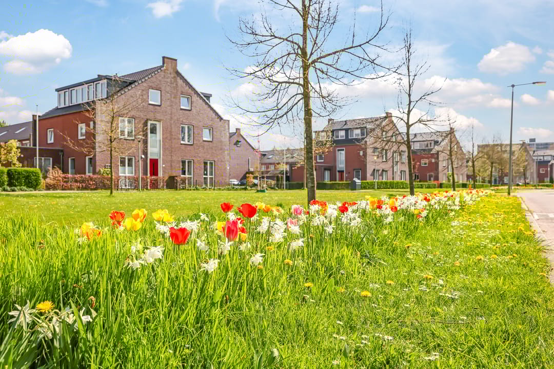 Photo 76 of Charley Bosveldhof 10