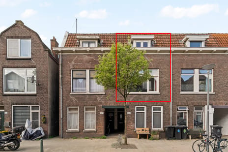 Buffelstraat thumbnail