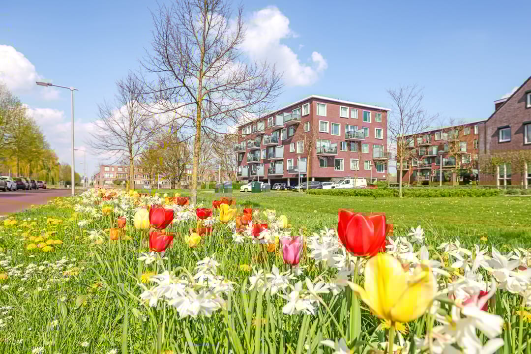 Photo 77 of Charley Bosveldhof 10