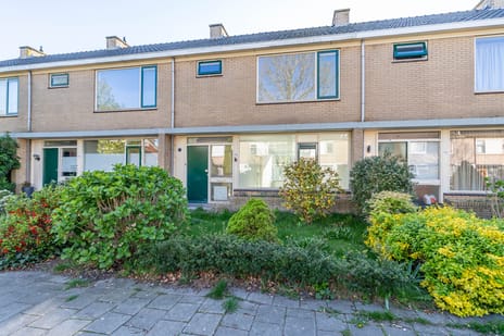 Neptunusstraat thumbnail