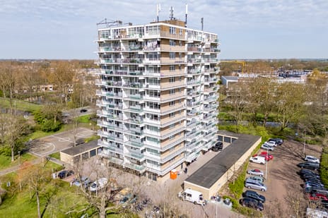 Lupinesingel thumbnail