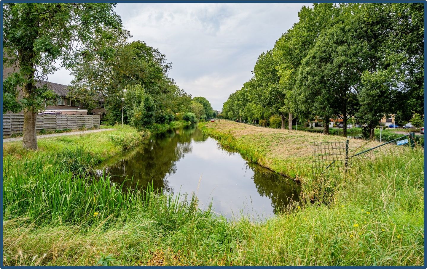 Photo 34 of Lupinesingel 164
